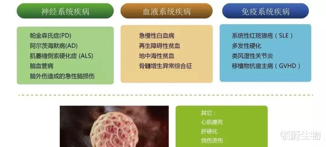 干细胞将像手机般改变生活,未来5-10年慢病或能根治!