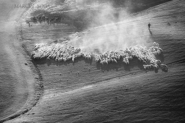 |如诗如画：油画草原，飞翔牧民