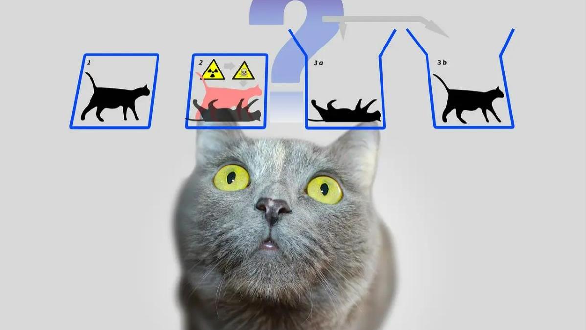 薛定谔的猫只是物理学“四大神兽”之一，其他三大神兽你知道吗？