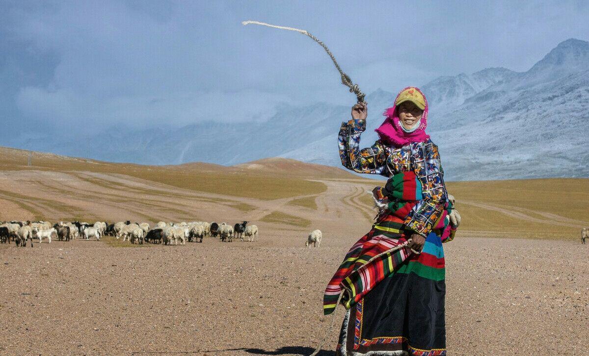 女孩|去西藏旅游，遇上白帐篷，别好奇往里钻，只怕难脱身