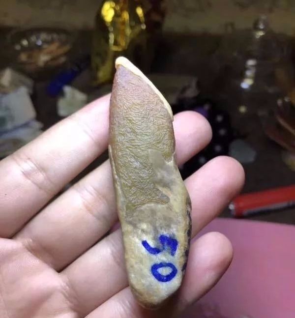 移动支付|早市1200淘的翡翠原石,做出收藏级作品,货主笑得合不拢嘴了