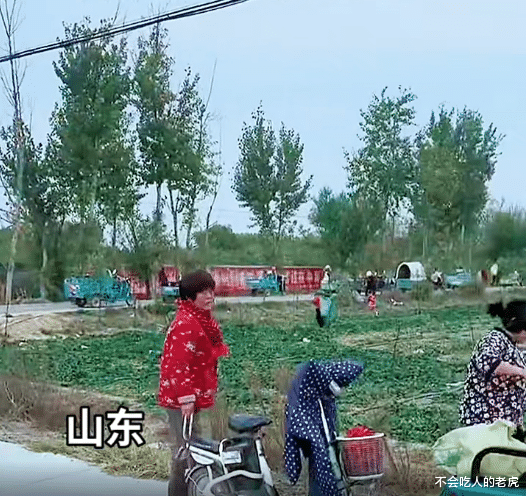 山东:大爷手持铁锨拦路喊话,开三轮车的谁走劈死谁,疑似村民偷菜后被逮正着