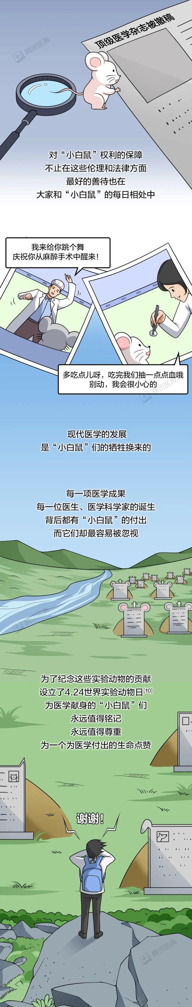 “人人喊打”的老鼠,为人类医疗做出的贡献不可估量!漫画科普