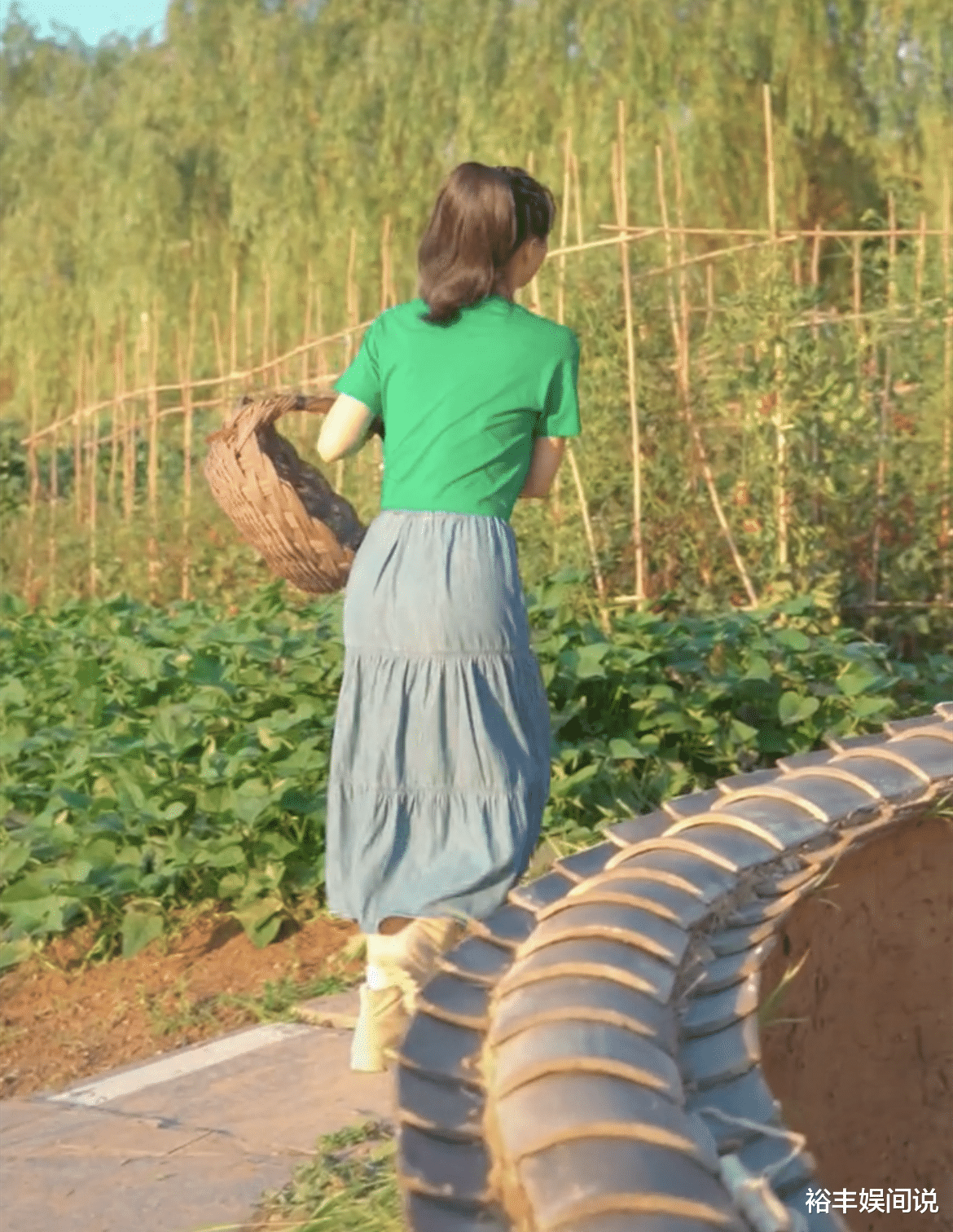 王艳|王艳北京郊区农场曝光！种满各种应季蔬菜，院子古朴雅致价值非凡
