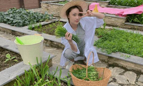 徐峥|张馨予:心直口快不遮掩,正面回答网友关于自己是否怀二胎之疑问