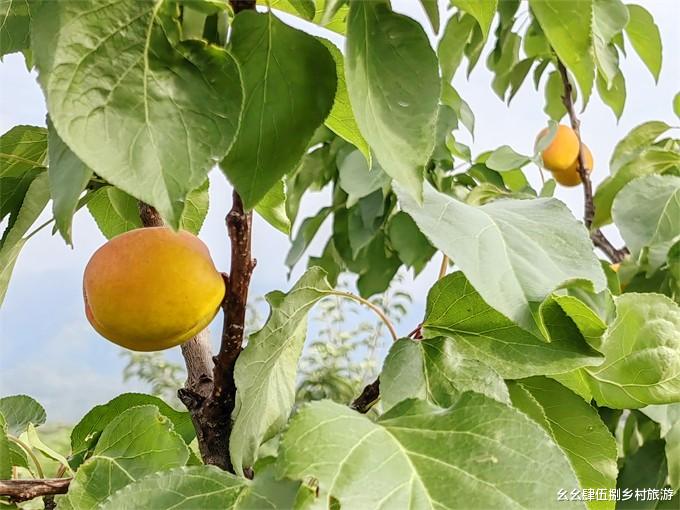 密云|密云曲径通幽观湖院四合院民宿，找回童年的记忆，尽享四季美景