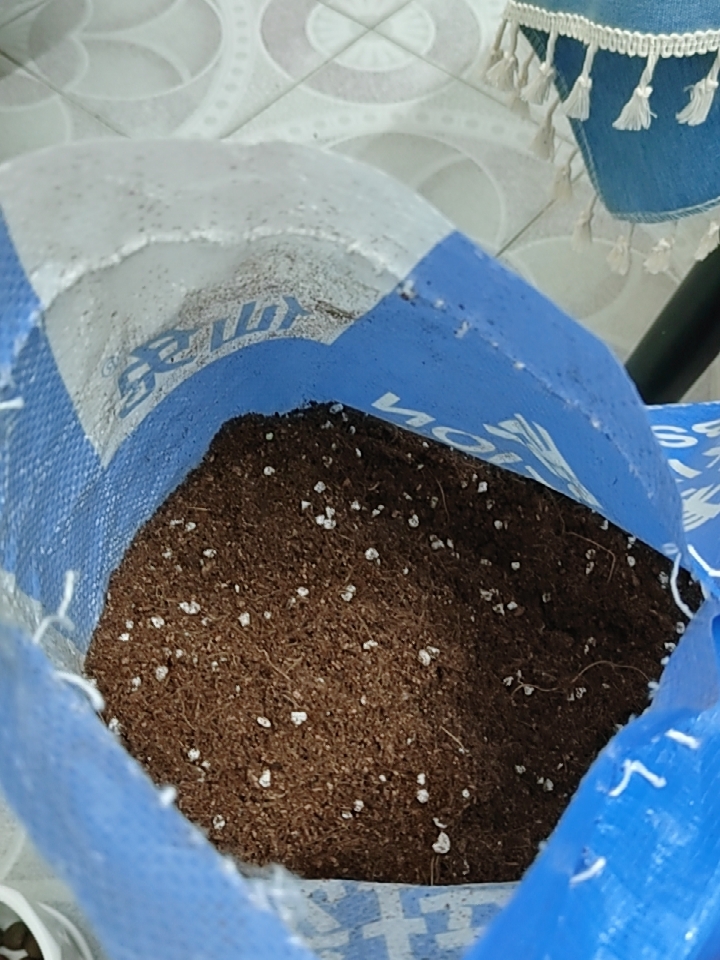 一楼40㎡小院,升级改造成休闲小花园,这才是院子的正确打开方式