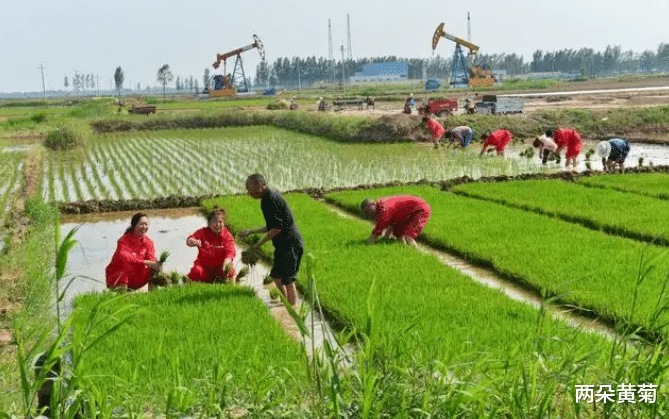 宅基地|农业农村迎来巨大红利,如果你老家有房有地,请务必重视