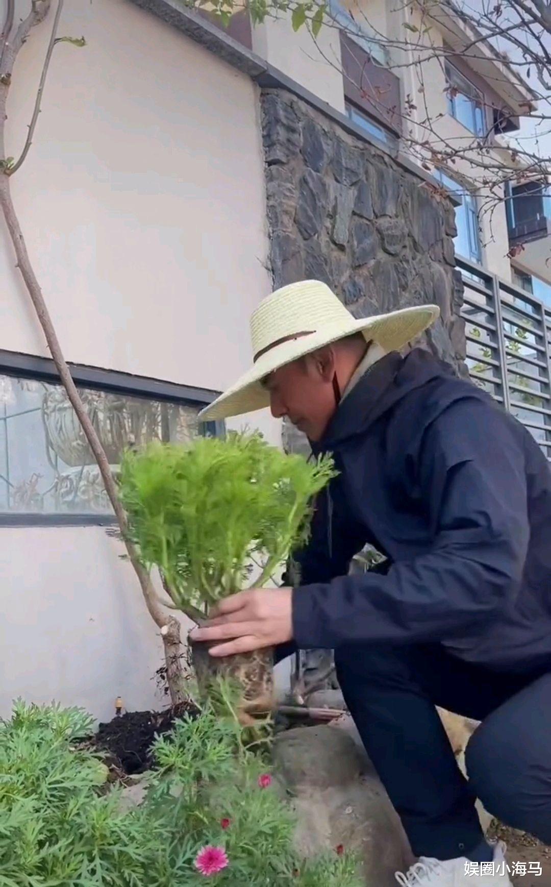任天野|52岁任天野回农村过年,戴草帽清理花园,意外曝光三层小洋楼住宅