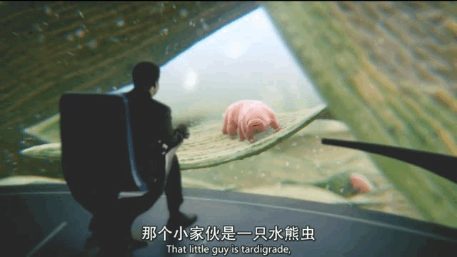 一次失败的探月，将地球最顽强的生物留在了月球上，它们活下来了吗