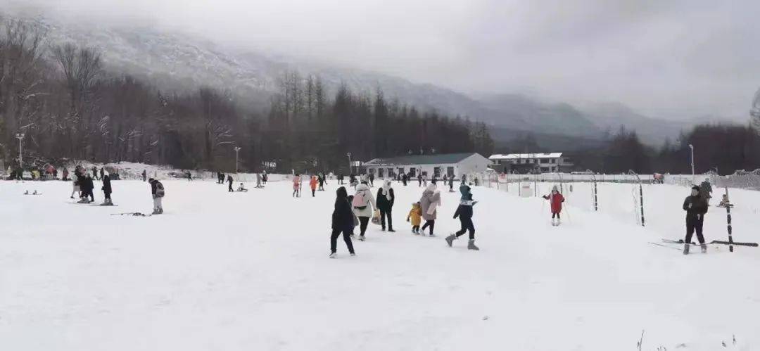 光雾山|冬天的光雾山期待你来！大坝雪场蜕变升级，滑雪嬉雪“华丽变身”