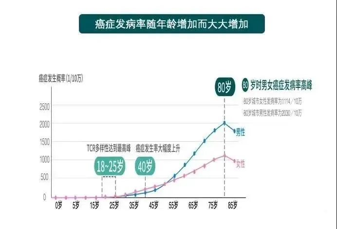 年龄越大细胞突变数量越多?免疫细胞与我们的健康息息相关