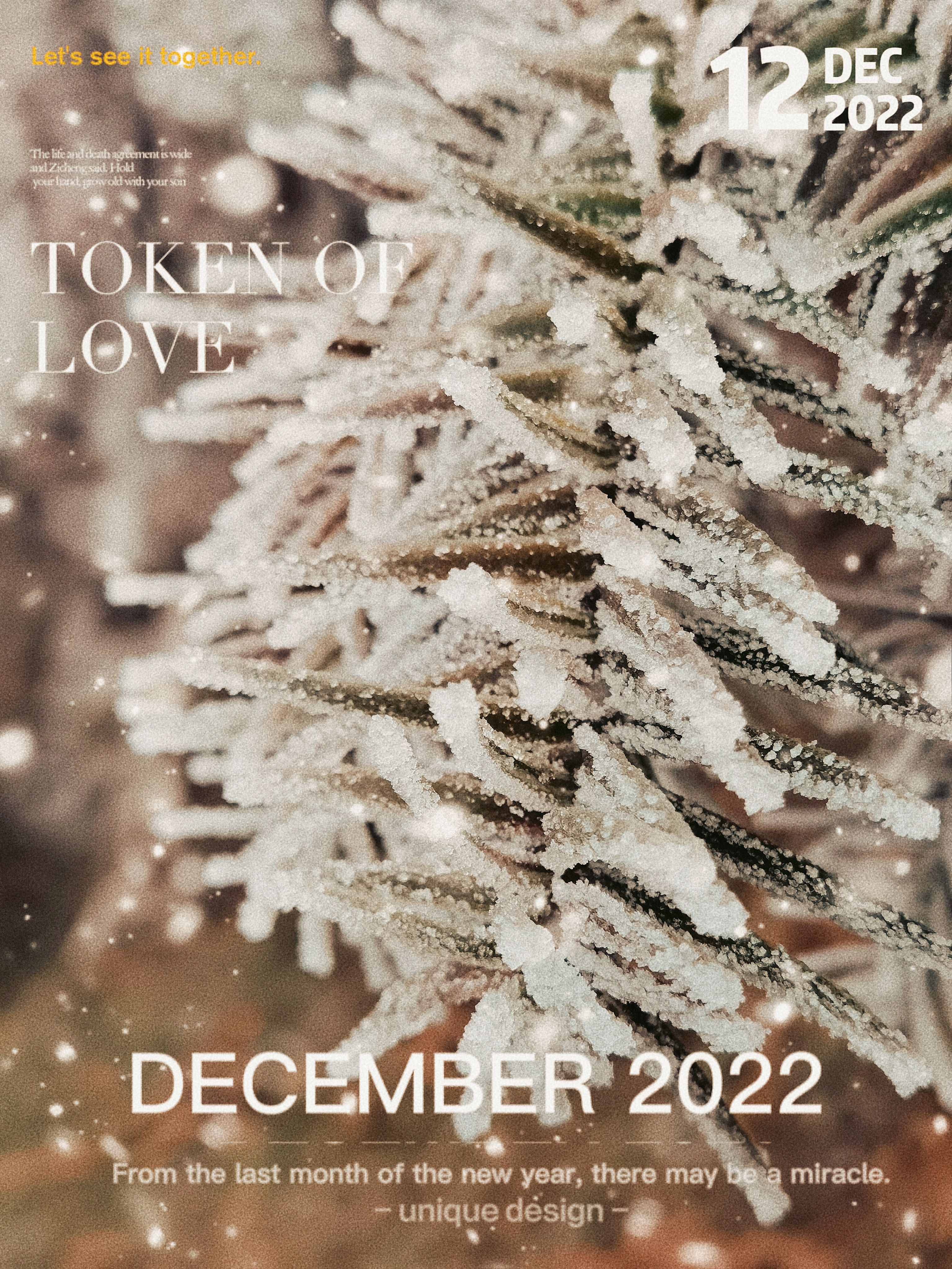 胡杨林|2022年11月30日，重庆武隆·仙女山国家森林公园雾凇漂亮