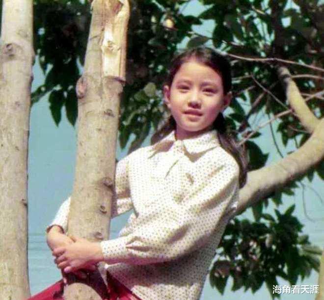 周海媚|美人周海媚:意外落选港姐不妨碍大红,身体康复后定居在大陆