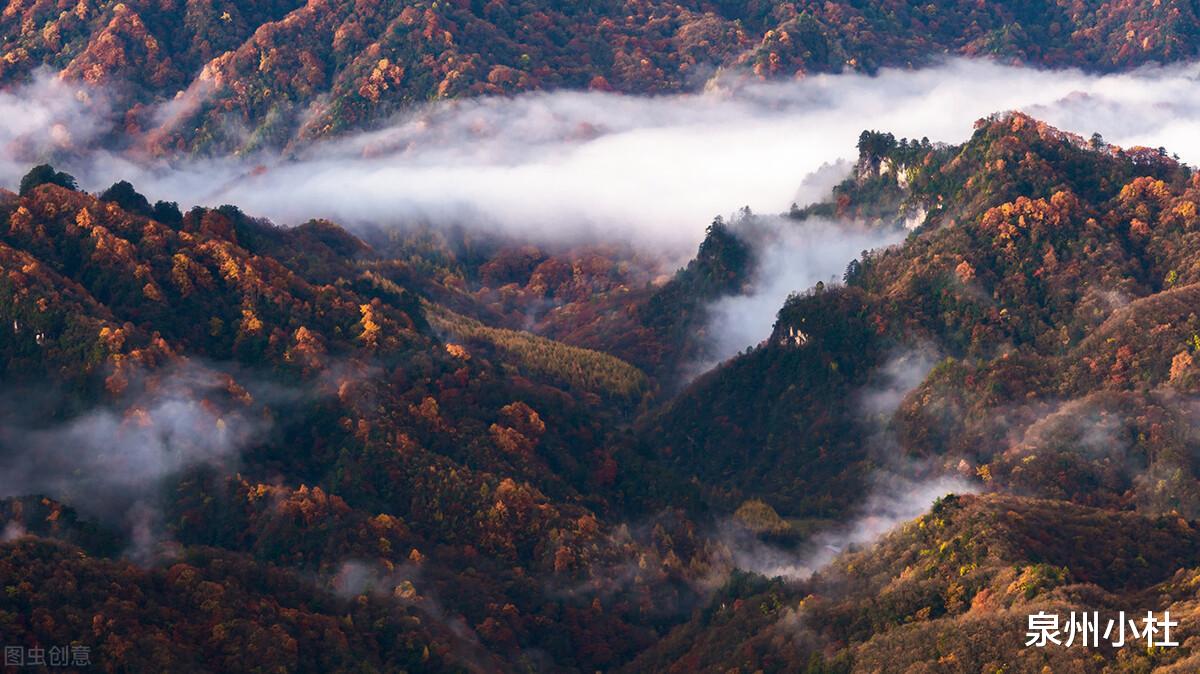 光雾山|中国红叶第一山，光雾山，瀑潭秀水、云蒸雾绕、胜景众多