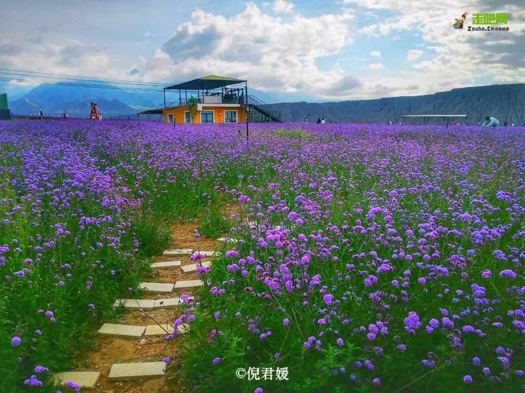 旅行|退休女教师单人单车在路上，美景应接不暇，忙得忘记了孤单