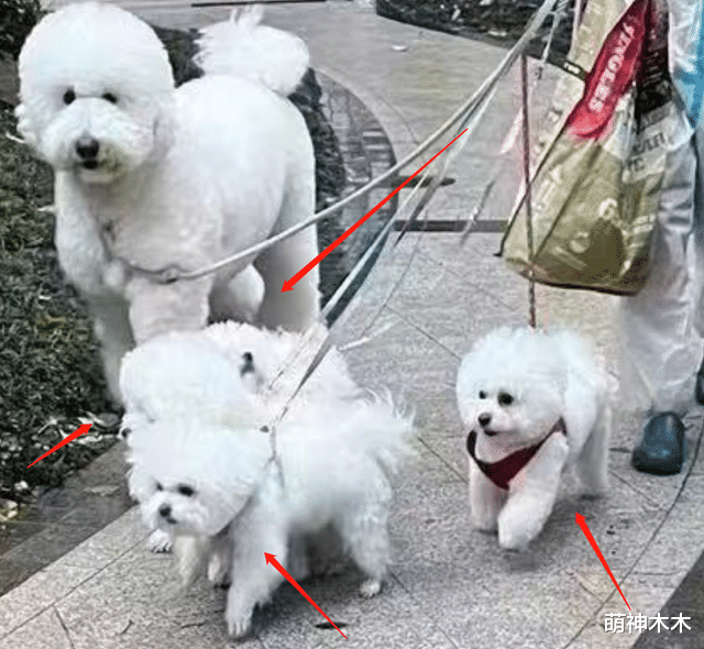 李佳琦|?李佳琦确诊了?网友曝光照片被谴责,本人取消直播自曝身体不适