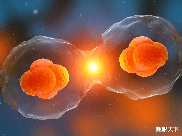 这个实验引发轰动:科学家把癌细胞注射进健康人体内,结果有点意外