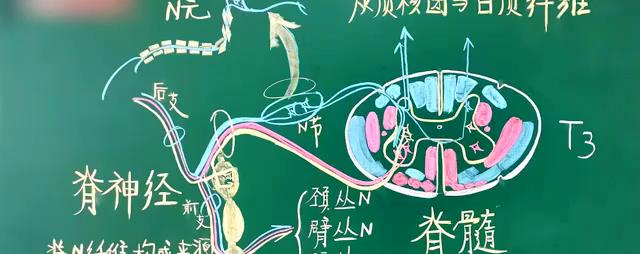 杭州|杭州：大学老师板画登上热搜，得到学生好评，网友：这是高手
