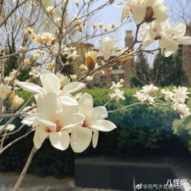 惠若琪|惠若琪一家游玩，9个月女儿蹦床里学走路，老杨温柔注视好暖心