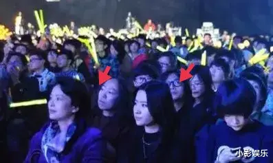 刘亦菲|他俩不会是合约情侣吧？