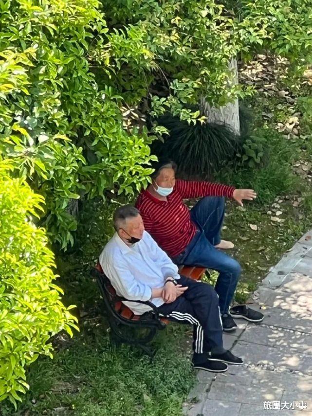 上海市|放飞？离沪高铁售罄，上海入境航班不少！京东失约大幅延期被吐槽