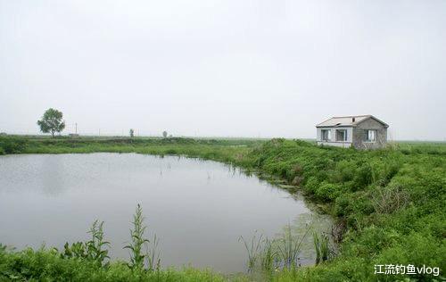 饵料|很多人用万能饵蚯蚓钓不上鱼，老钓友来告诉你原因