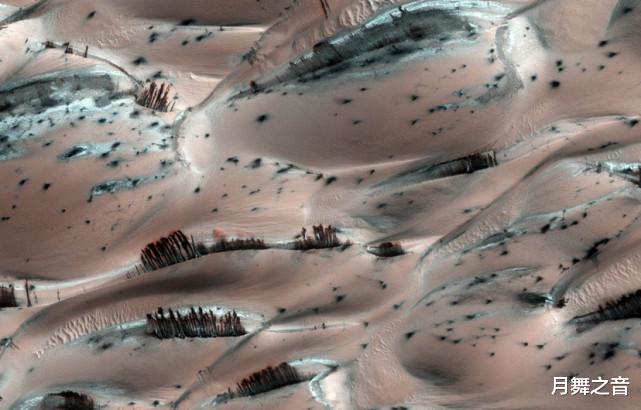 火星沙丘惊现“黑树林”“火星生命”新证据?NASA拍摄到火星上有森林和灌木丛?