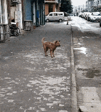 布拉德·皮特|1个月被潜100次？刘晓宇前女友回应，曾醉酒喊话易建联二次翻红