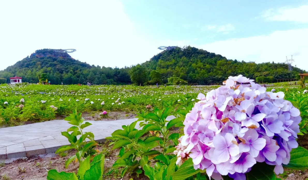 处暑|抓住夏天的尾巴，在处暑时去和美景在拥抱一次