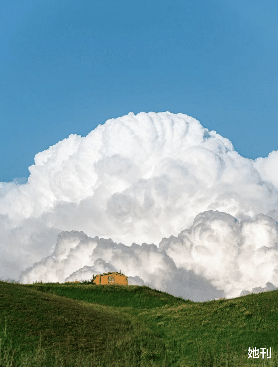 新疆维吾尔自治区|「烦死了，你的朋友圈一天比一天土！」