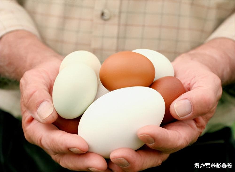 鸡蛋|多吃鸡蛋寿命短，是真科学还是伪科学？哈佛大学研究2万人告诉你