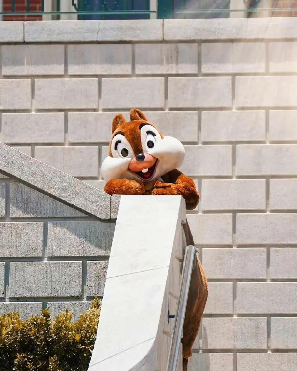 娱乐圈|娱乐圈八卦小料