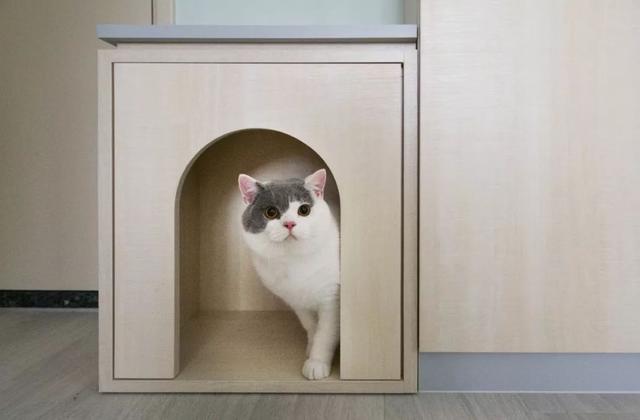 香港夫妻晒42㎡小家,空间极致利用,打造完美三居室,令人佩服!