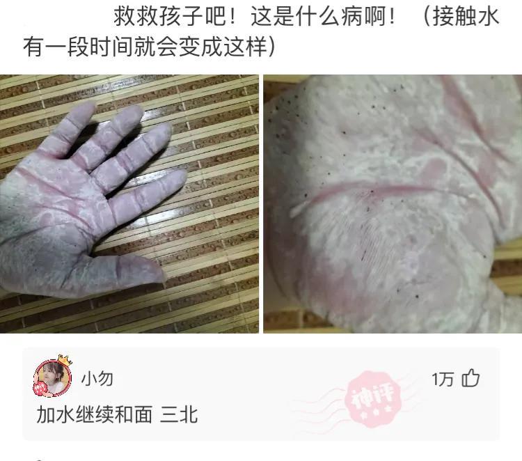 南京|神回复:40万在农村建的别墅,模样感觉有点奇怪呢?神评亮了