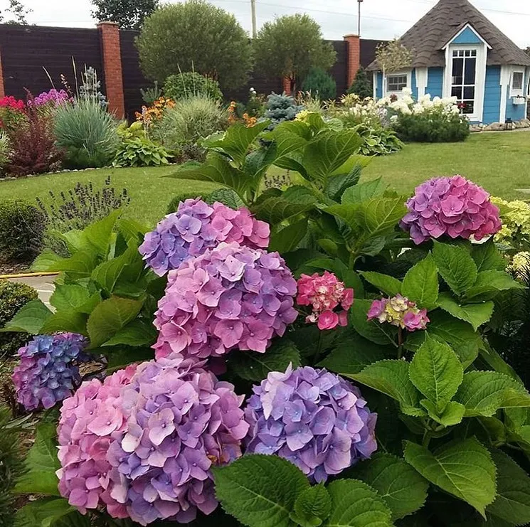 9款庭院花园设计案例,为自己造一个花园