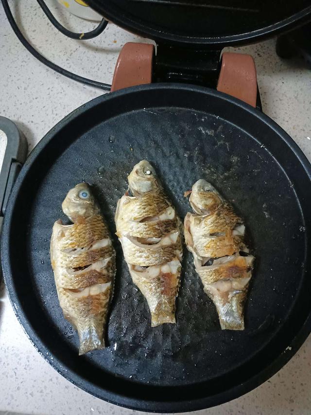 寒潮|寒潮来袭，鲫汤暖心，钓鱼人依然在路上