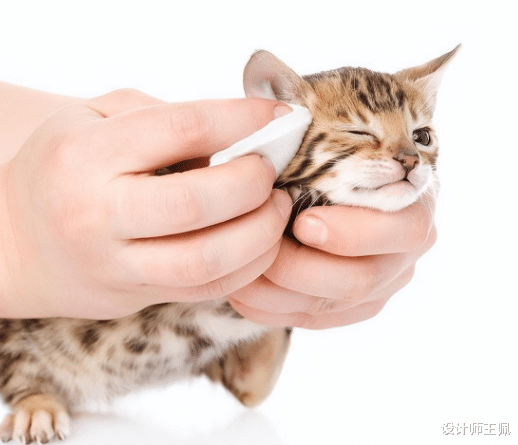 建议大家:不管有钱没钱,未来6个月,这“5样”能囤多少囤多少