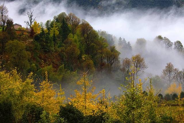 甘南|就没见过哪个过气网红,还能好看成这样的