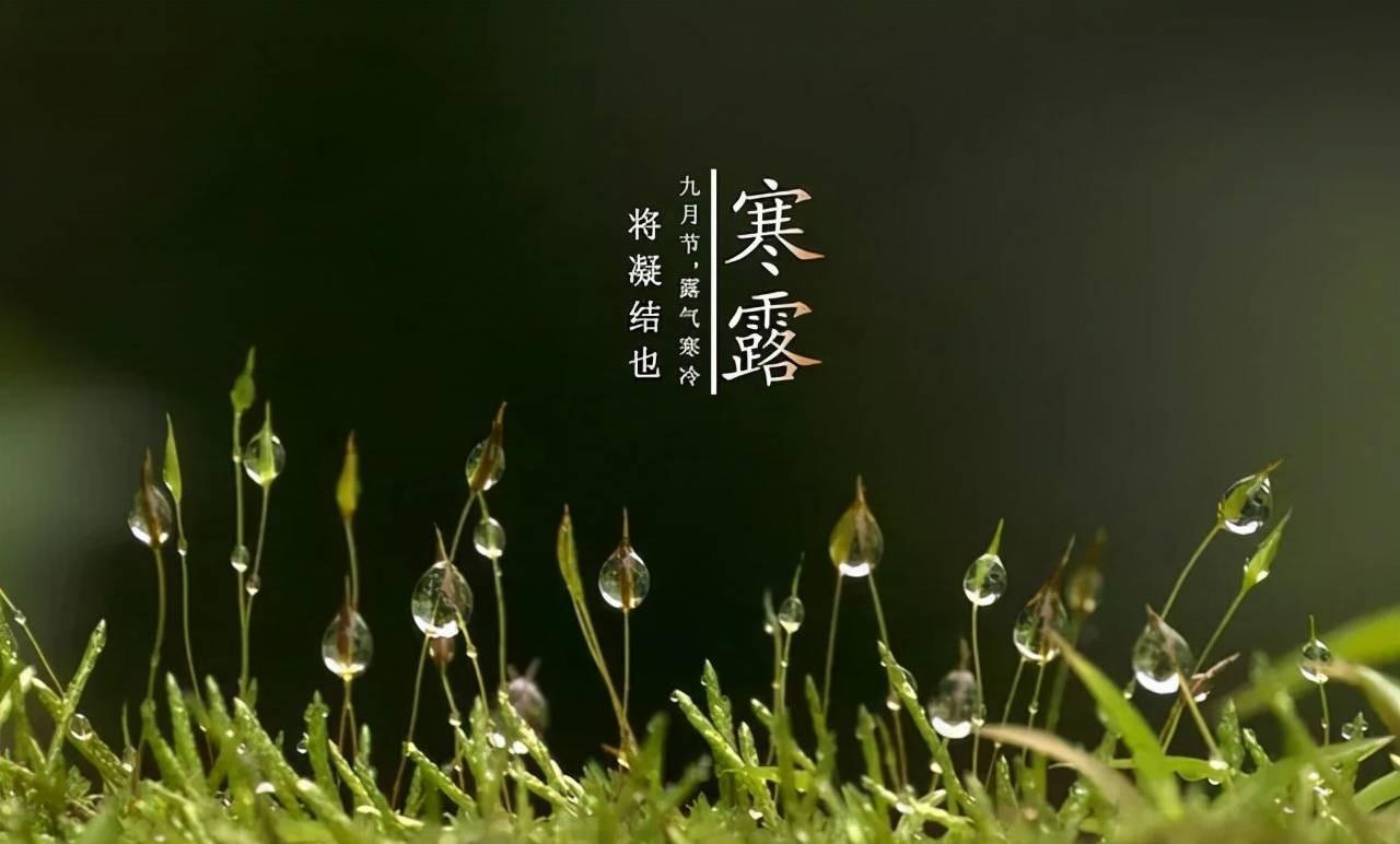 |深秋钓鱼四不宜,注意细节并规避不适用的技巧,才能提高你的渔获