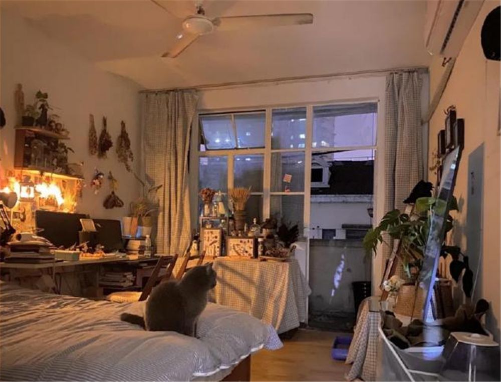 情侣在30㎡顶层老屋住6年，小家被打造得温馨又慵懒，太治愈了