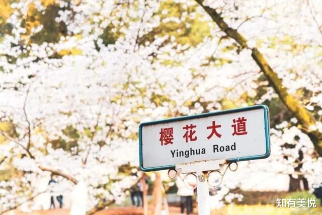 鸣沙山|中国最美六大文化名城,都是旅游胜地,看看有你的家乡吗?