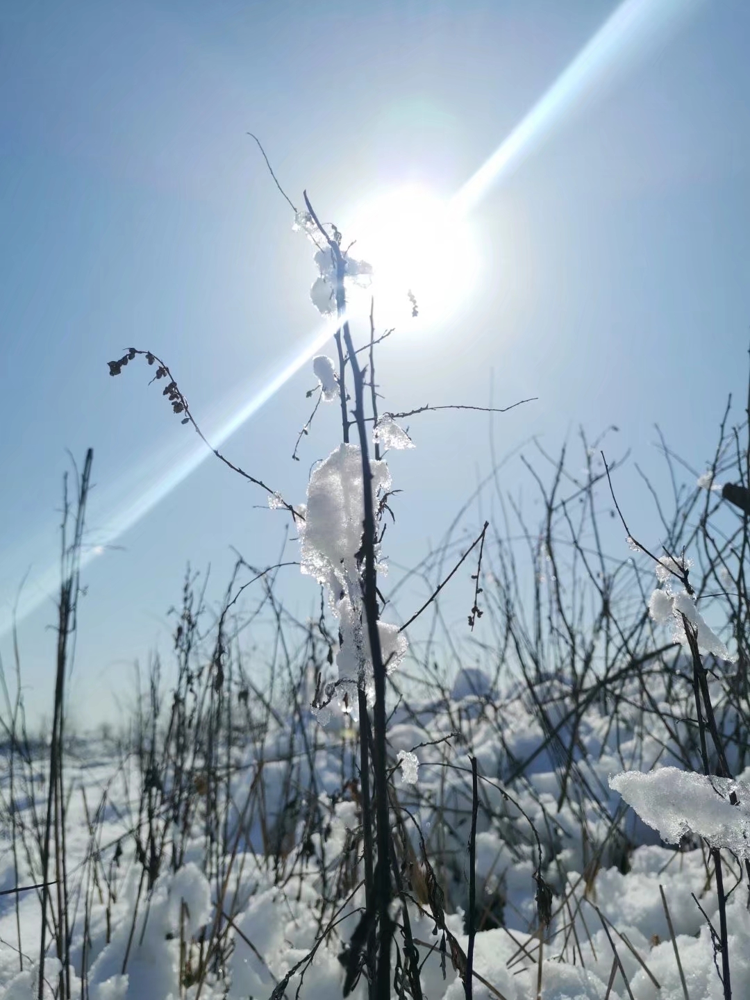 听说家里在下雪