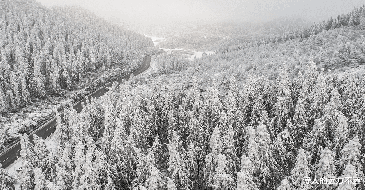仙女山|难得一见! 重庆仙女山迎2022冬首场雾凇奇观，美腻了