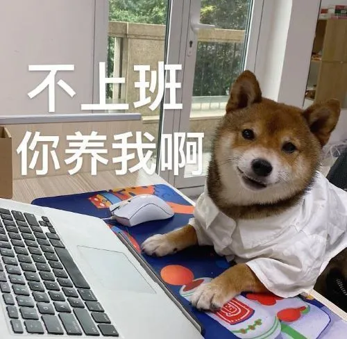 射手座|近七成清华毕业生进入体制内就业，风向标提示着什么？