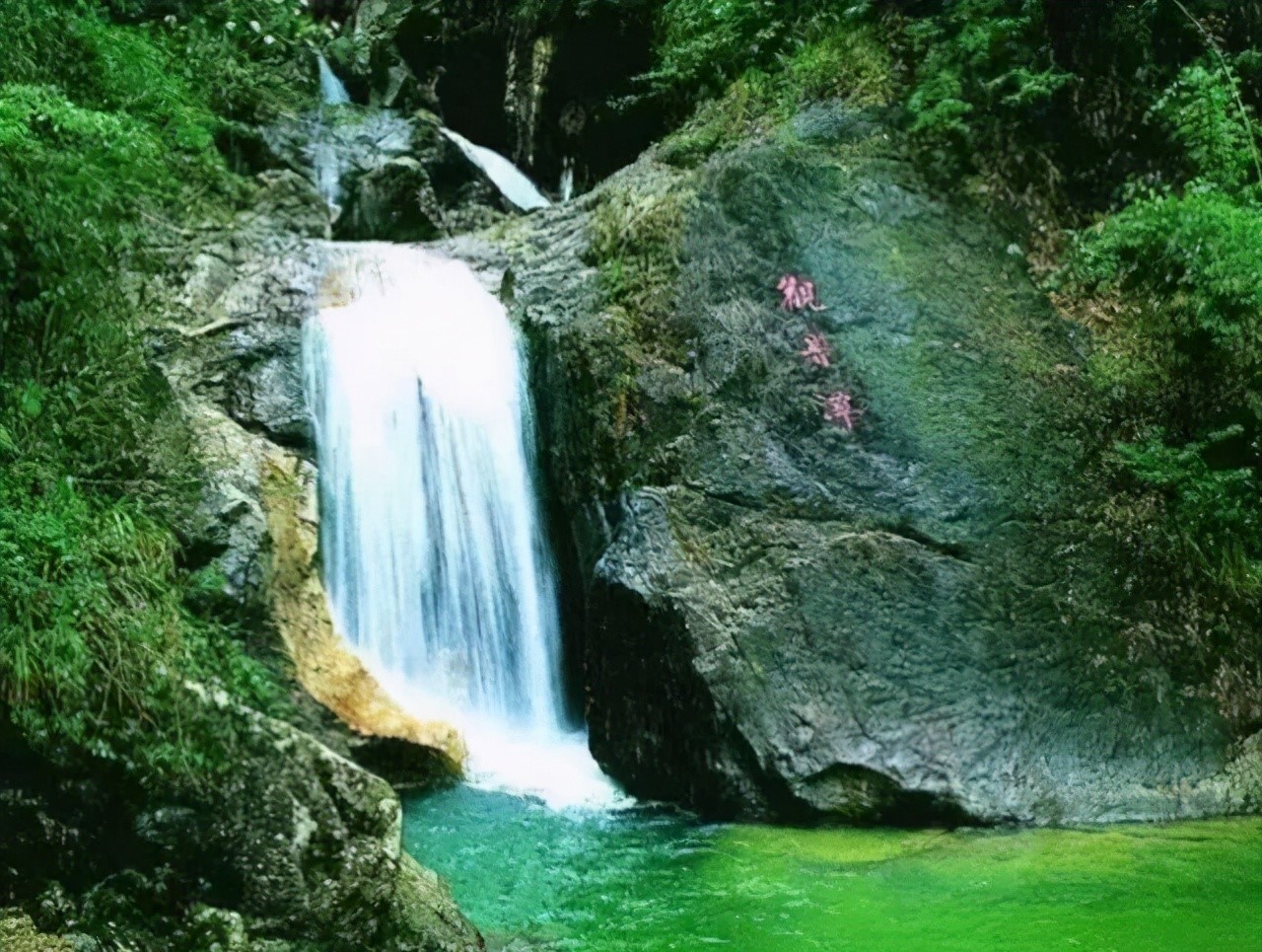 荷花|惠州藏着一片绝美的世外桃源,梦中的度假胜地,连明星都爱不释手
