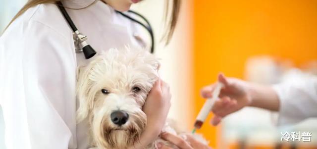 医生|家有女儿的应注意,未来十年适合女生的专业,收入发展都不错