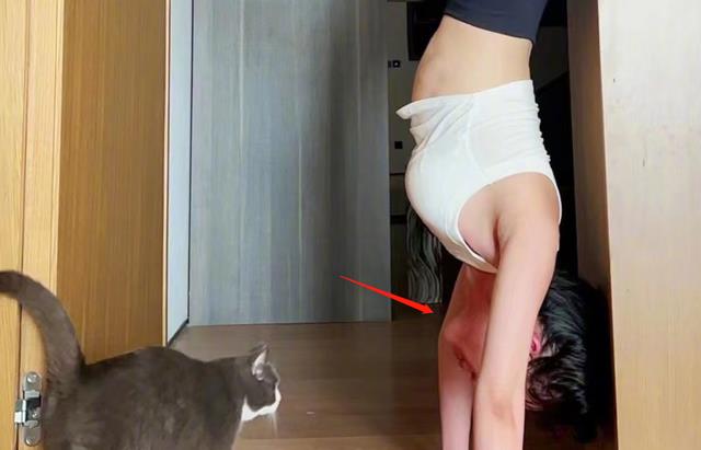 田朴珺|王石妻子田朴珺晒近照,居家努力锻炼,一双长腿引人关注