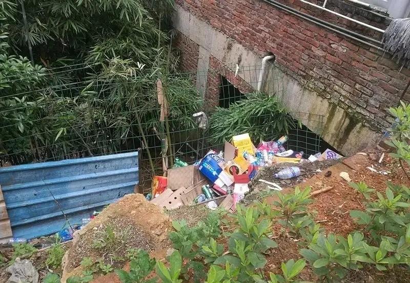 9月起,农村迎来新任务,3件事要村民配合,哪3件?是好消息吗?