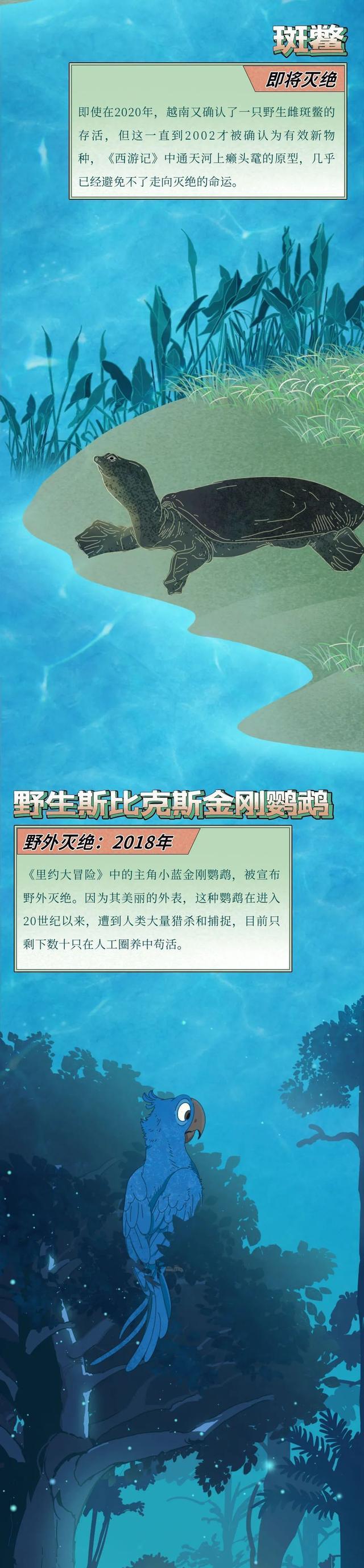 “第六次全球动植物大灭绝,正在进行中……”一组漫画了解